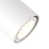 LAMPA sufitowa LUMSI SPL-2071-1-MC-WH Italux metalowa OPRAWA regulowany reflektorek biały