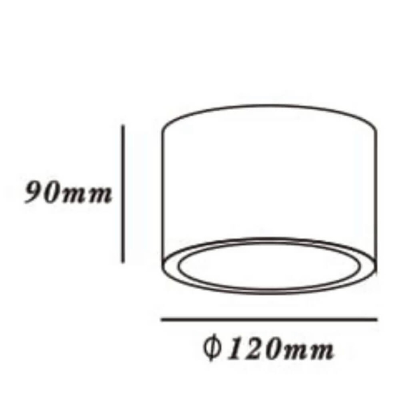 Spot lampa sufitowa CAMINO LP-1101/1SM WH Light Prestige plafoniera oprawa downlight tuba biała