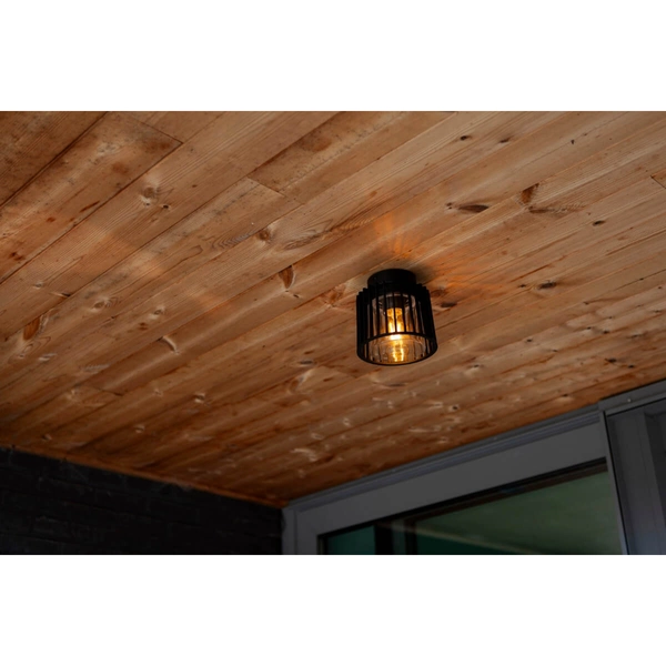 Szklana lampa sufitowa Shyne 6397501012 IP54 na zewnątrz czarna