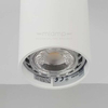 Spot LAMPA sufitowa DARIA ROUND 1W/W INQ okrągła OPRAWA natynkowa downlight tuba biała