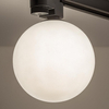 Oprawa szynowa 1-fazowa Tracer 4923 TK Lighting szklana mleczna kula