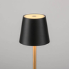 Stołowa lampka Euria 19250-68 LED 2,5W 3000K IP54 czarna złota