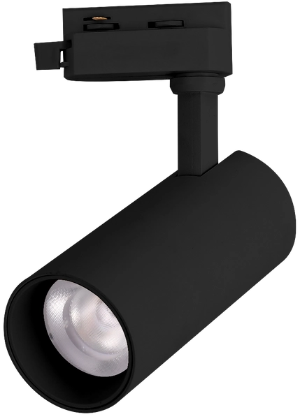 Reflektor szynowy Blaupunkt DRS1-12WW LED 12W 3000K 1-faz czarny