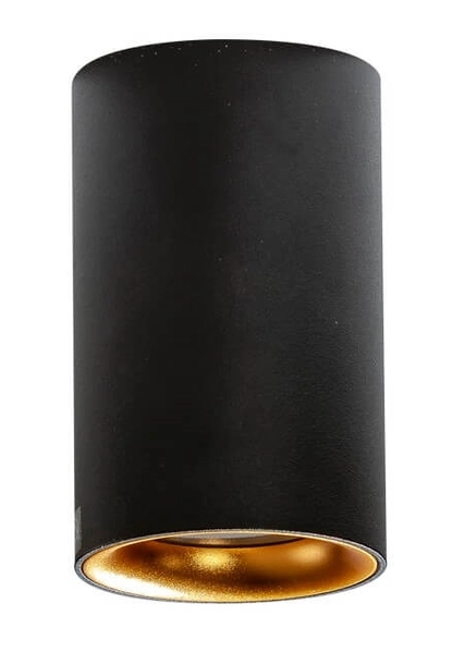 Natynkowa lampa przysufitowa Eiger AZ4261 IP54 czarna złota