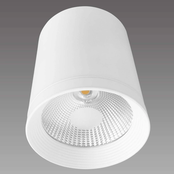 Downlight LAMPA sufitowa ZOVO 1 LP-32015/1SM WH Light Prestige metalowa OPRAWA natynkowa LED 15W 3000K tuba biała