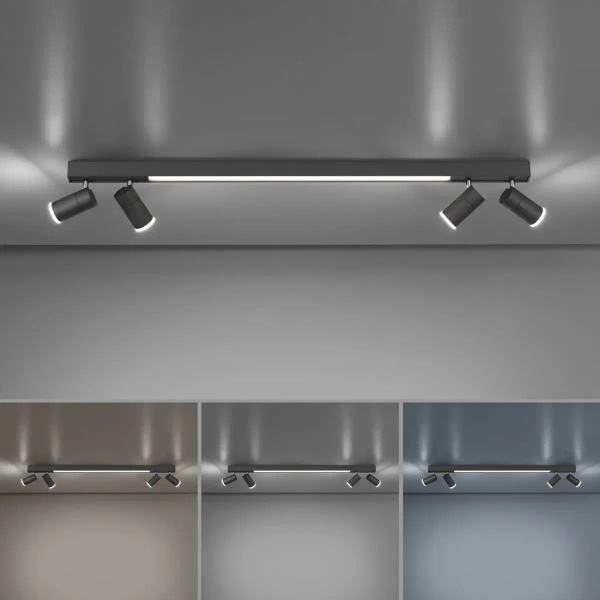Grafitowa lampa sufitowa Pure-lines LED 25W 2700K-5000K reflektorki