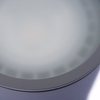Zewnętrzna lampa sufitowa Alix AZ4057 IP65 okrągła outdoor szara