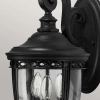 Elewacyjna LAMPA ogrodowa English FE-EB2-M-BLK Elstead FEISS zewnętrzna OPRAWA elewacyjna klasyczna outdoor IP44 czarna przezroczysta