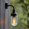 Elewacyjna lampa szklana L&-195884 IP44 czarny przezroczysty