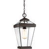 Zewnętrzna lampa wisząca Ravine QZ-RAVINE8-M na łańcuchu IP44 brązowa