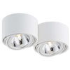 Spot sufitowy LUMOS 2 70252201 Kaspa regulowany downlight metalowy biały