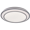 Sufitowa lampa Lupita z pilotem LED 40W 3000-6500K srebrna biała