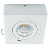 Oczko LAMPA natynkowa IGOR LED 9W 4000K 03128 Ideus metalowa OPRAWA sufitowa REFLEKTOREK regulowany biały