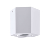 Downlight LAMPA sufitowa HEXAGON 313171 Polux metalowa OPRAWA sześciokątna regulowana biała