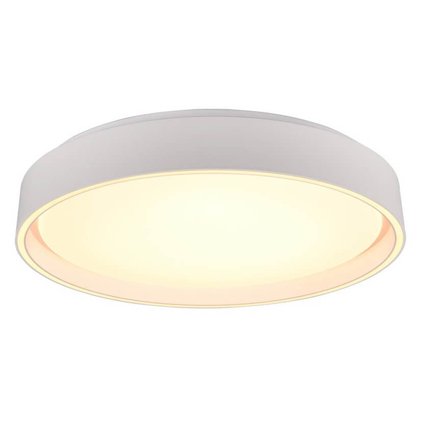 Ledowy plafon gabinetowy Felis R64391031 RL Light 24W 2700-6500K biały