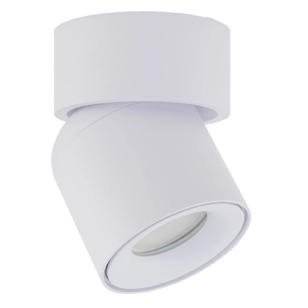 Spot sufitowa lampa punktowa Twist 10576 regulowana metalowa biały