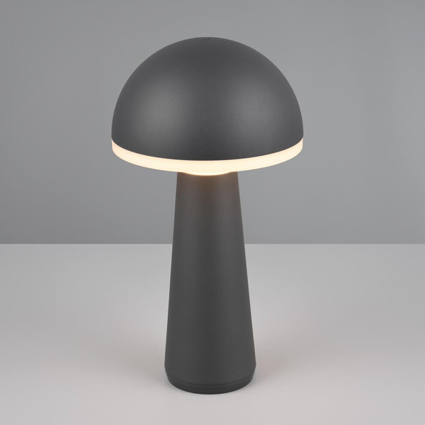 Zewnętrzna lampka stojąca Fungo R57716142 IP54 LED 2W 3000-5000K czarny
