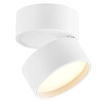 Spot lampa sufitowa ALIDOR MBD-W-18-120WW regulowana LED 18W 3000K biały