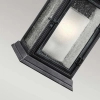 Zewnętrzna LAMPA ścienna Shepherd FE-SHEPHERD-2L Elstead FEISS elewacyjna OPRAWA ścienna outdoor IP44 cynk przezroczysta