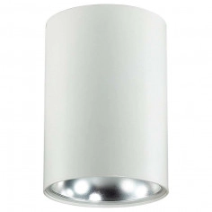 Sufitowa lampa natynkowa NERO C1255-1L WH/S tuba downlight REMO biała