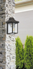 Zewnętrzna LAMPA ścienna NORVICH 8754 Rabalux elewacyjna OPRAWA ogrodowy kinkiet outdoor IP43 antyczne złoto przezroczysty