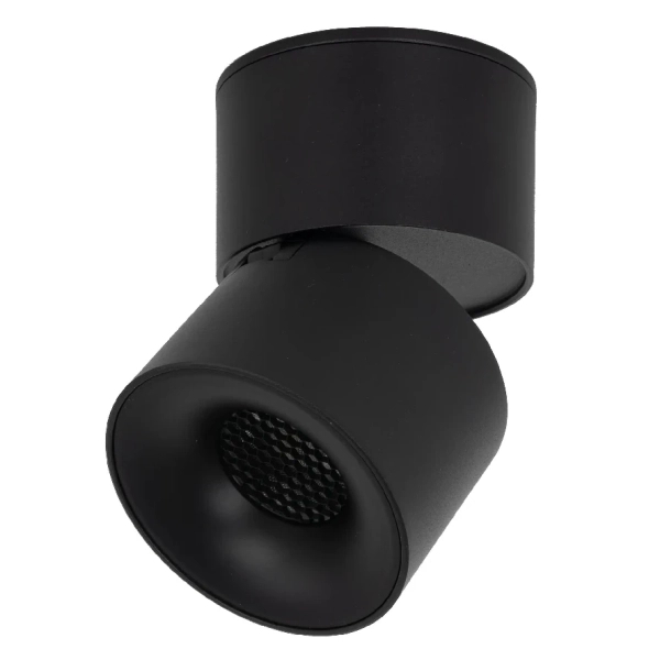Ledowa lampka sufitowa Spark 18163 LED 10W 3000-6000K czarny