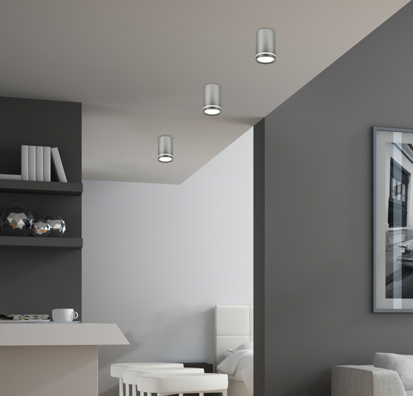 Spot lampa sufitowa 2277158 okrągła plafon metalowa tuba srebrna