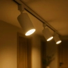 Szynowa lampa jednofazowa Tiger Track ML2337 tubka biała