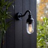 Metalowa lampa elewacyjna L&-195886 IP44 czarny przezroczysty