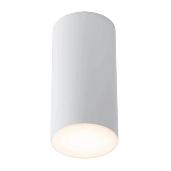 Tuba LAMPA plafon ARAO 7079 Shilo natynkowy downlight sufitowy biały