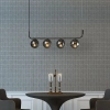 Kulista lampa wisząca Alisa LP-005/4L grafit Light Prestige kule grafit przydymiony