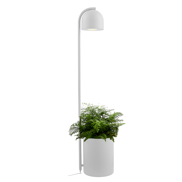 Dekoracyjna LAMPA stojąca BOTANICA 40850108 Kaspa podłogowa OPRAWA metalowa tuba z doniczką szara