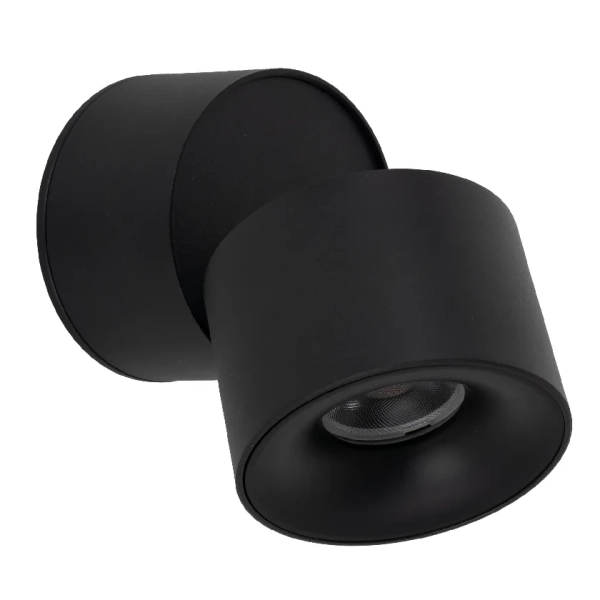 Ledowa lampka sufitowa Spark 18163 LED 10W 3000-6000K czarny