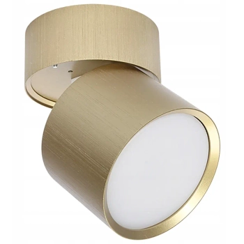 Downlight do salonu PZE-9001 CGG53PZE-9001 ruchoma tuba złota
