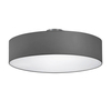 Sypialniana lampa sufitowa Hotel 603900311 Trio owalna szara