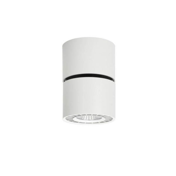 Regulowany downlight pokojowy Herios LED 12W 3000K tuba z regulacją biała