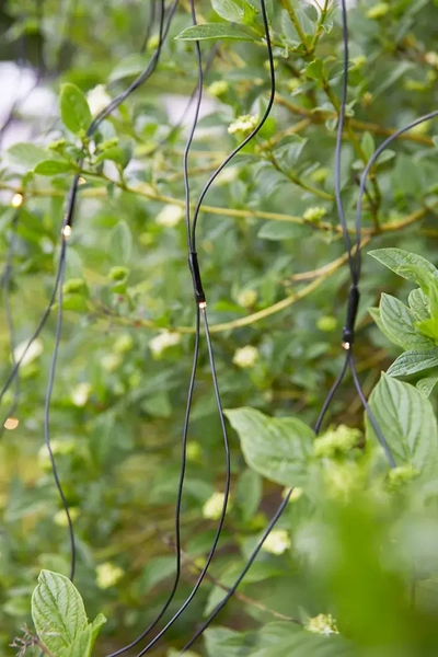 Wisząca dekoracja ogrodowa Garden 24 LED 4,8W świetlna