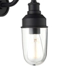Metalowa lampa elewacyjna L&-195886 IP44 czarny przezroczysty