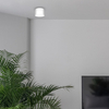 Pokojowa lampa sufitowa Dixie do przedpokoju loft biała