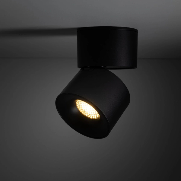 Ledowa lampka sufitowa Spark 18163 LED 10W 3000-6000K czarny