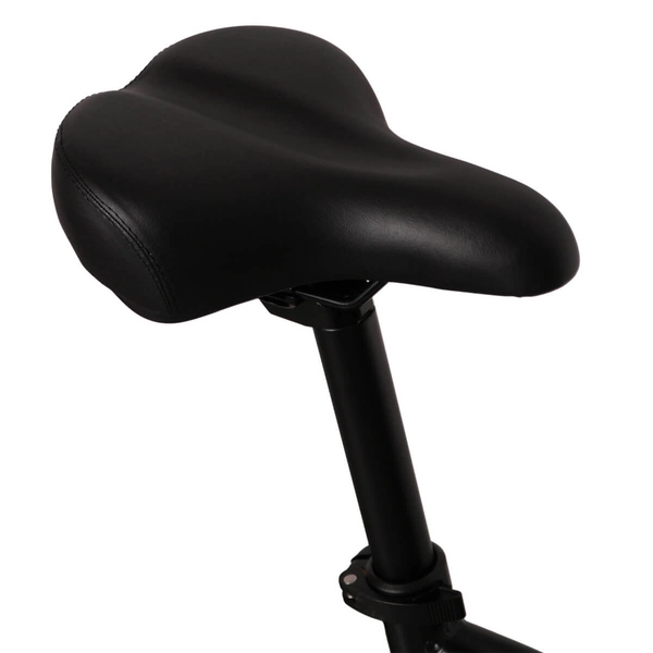 Elektryczny rower do 50 km Goldbike 326911 20" 42V / 2A 250W czarny