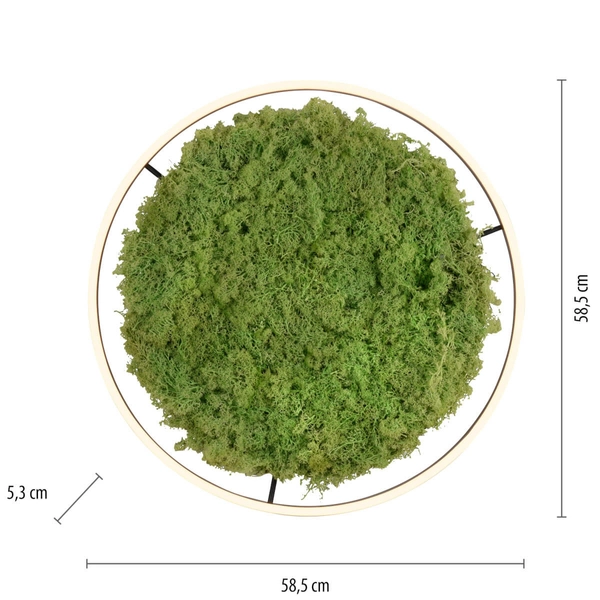 Lampa sufitowa salonowa GREEN RITU 15392-66 LED 28W 3000K zielony