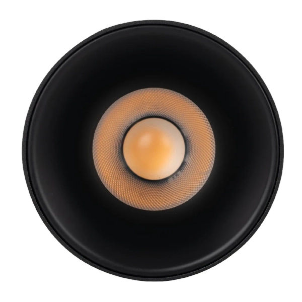 Lampa sufitowa do jadalni Blaze 18158 LED 12W 3000-65000K czarna