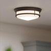 Sufitowa lampa do łazienki Hadley HK-HADLEY-F-OZ Hinkley IP44 brązowy biały