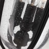 Ogrodowa LAMPA wisząca English FE-EB8-M-BLK Elstead FEISS zewnętrzna OPRAWA retro latarenka ZWIS na łańcuchu IP23 czarny przezroczys