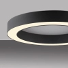 Owalna lampa sufitowa PURE LINES czarna 6310-13 1xLED 21W 2200-5500K na pilot CCT