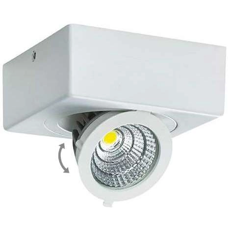 Oczko LAMPA natynkowa IGOR LED 9W 4000K 03128 Ideus metalowa OPRAWA sufitowa REFLEKTOREK regulowany biały