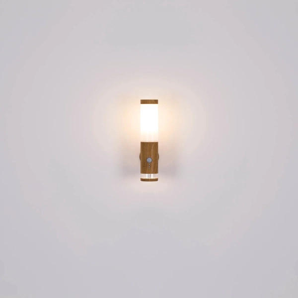 Elewacyjna LAMPA zewnętrzna JAICY 34070S Globo kinkiet do ogrodu tuba IP44 brązowa