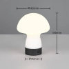 Stołowa lampka grzybek DOOLEY R54981131 LED 1,5W 3000K biały szary
