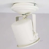 Sufitowa LAMPA reflektorek ALTER 50275101 Kaspa metalowa OPRAWA ścienna spot regulowany biały